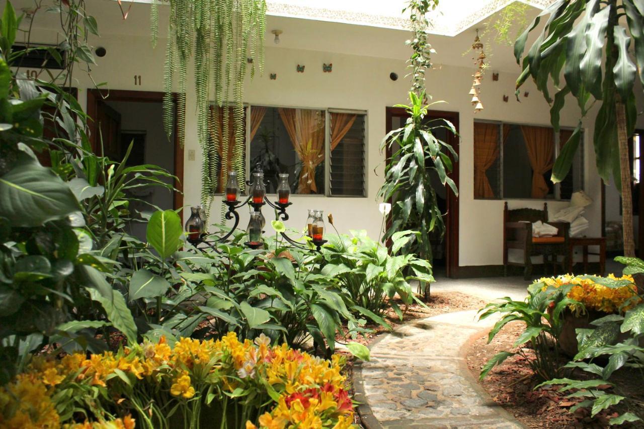 Posada Dona Luisa 危地马拉安地瓜 外观 照片